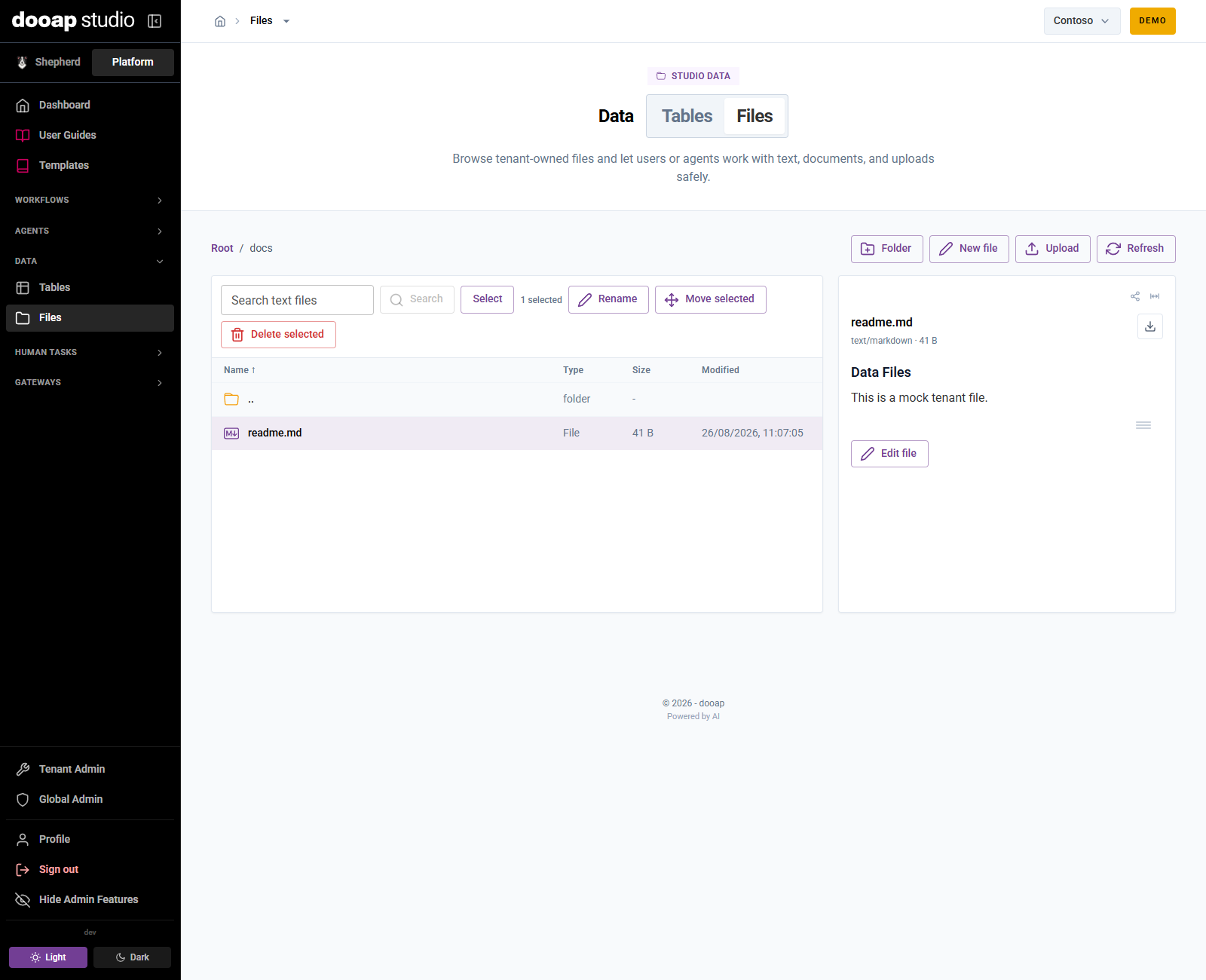 Data File preview